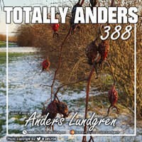 Totally Anders 388 by Anders Lundgren