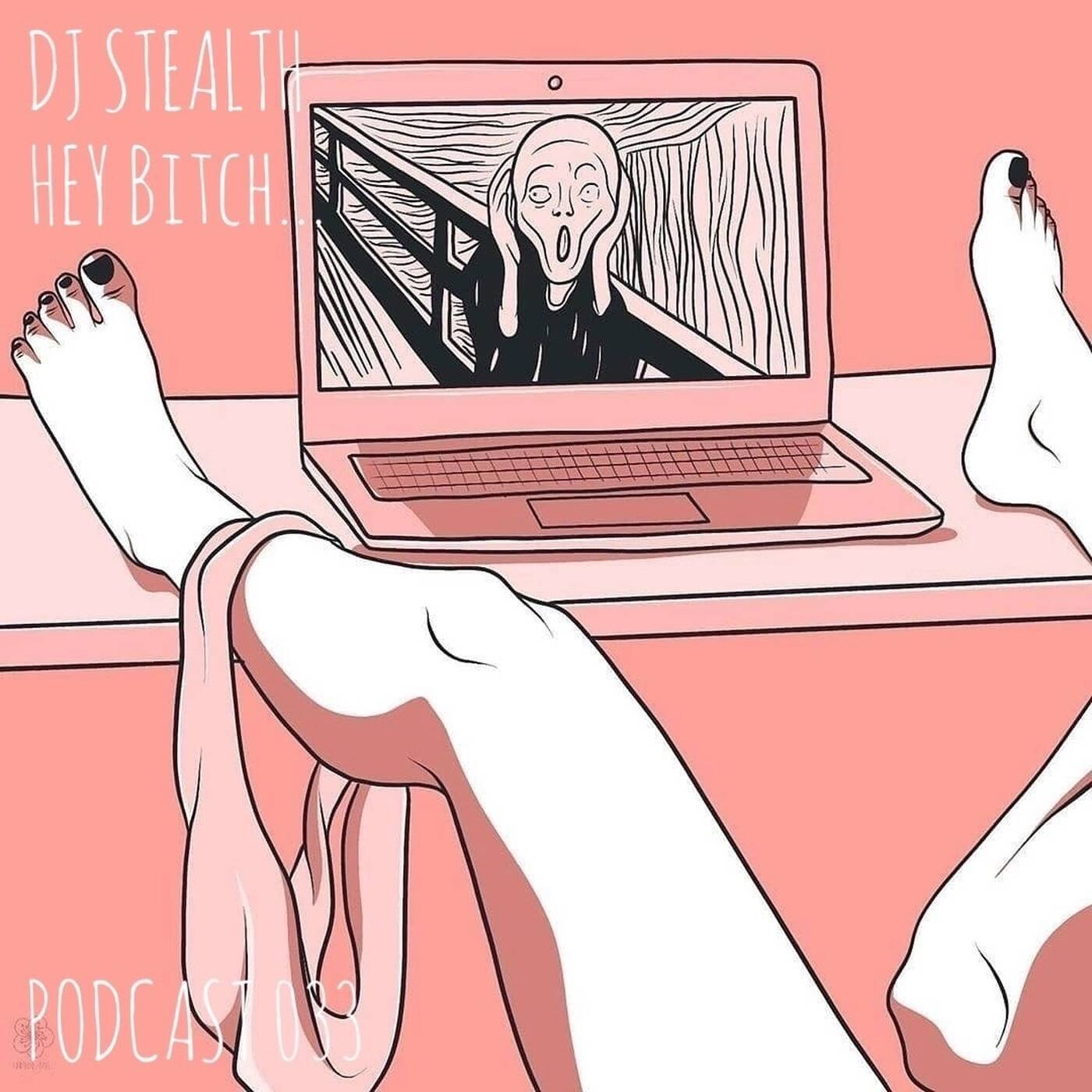 DJ Stealth - HEY bitch (Podcast 033) episode artwork