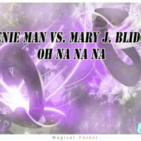 Beenie Man vs. Mary J. Blidge - Oh Na Na Na (Tobi S. Ultramix Extended) 102.90bpm by DJ Tomm