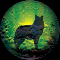 wolf's kompaktkiste transmission002 20150702 by kompaktkiste