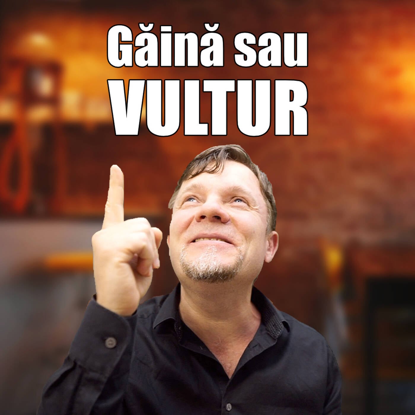 Găină sau Vultur episode artwork