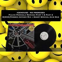 Icehouse - No Promises ( FP ACID Dub ) (Snippet) by TEST PRESSING