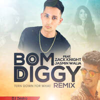 Bom Diggy VS Turn Down For What-(Zest Mashup)-DJ Zestro by ZESTRO