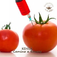 167 | ¿Podemos comer alimentos genéticamente modificados? by Kehila Camino a Emaus