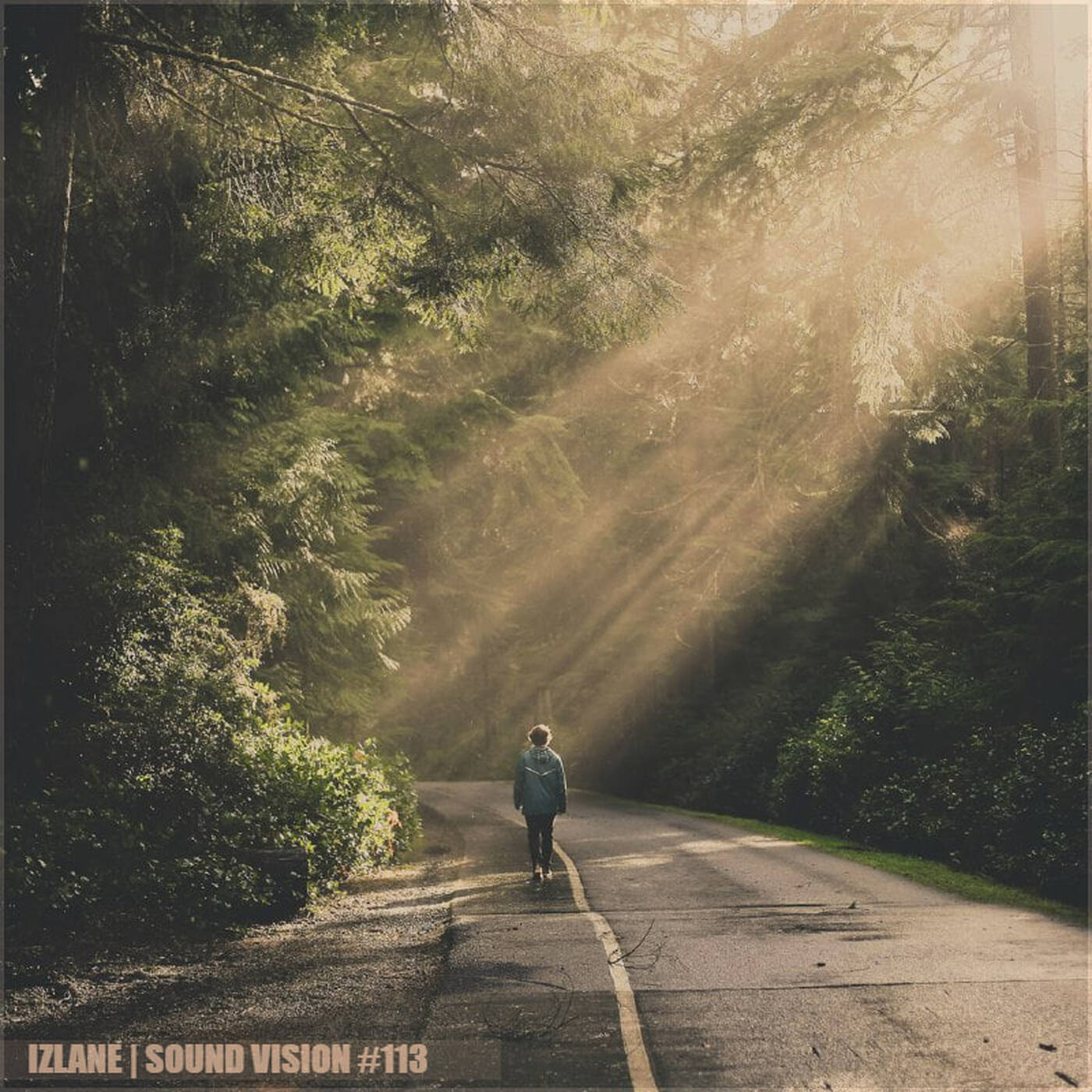 IzLane - Sound Vision #113 episode artwork