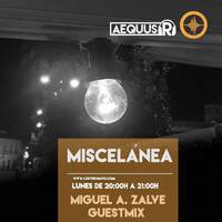 Aequus R presenta Miscelánea 166 + Miguel A. Zalve Guestmix by Aequus R