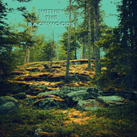 vesa-matti lähde - within the backwoods by droningearth