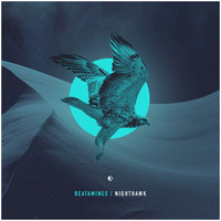 Beatamines - Nighthawk EP | Einmusika043