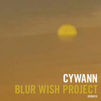 cywann - Blur Wish Project by cywann