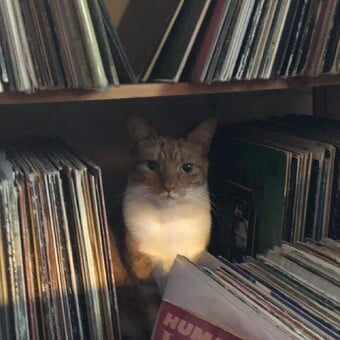 DreadDisco
