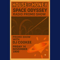 Cookee - House of Honey Promo Show Xmas 2025 Podcast by DiscoCookee