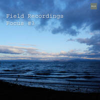 Field Recordings | Focus #3 by PG3A
