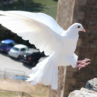 Soulful House Show 2022-09-25 by Dj TuXxL