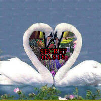 DJ Jeffrey Cheng-Secret Oasis Phase 3-Spring '24 by Breeze Godfrey