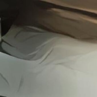 Jomo Djpowerchild Sehahabane