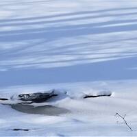 JFF 480 - Winterlude by Johanne G Gagnon
