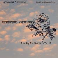 Cream Of South African House Vol 12 mix By Mr Skink by Paul Mr-Skink Seboa