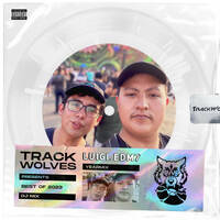 Luigi.edm7 - TrackWolves Best Of 2023 DJ Mix by TrackWolves
