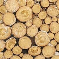 copernicus - highway to house - episode 125 by copernicus