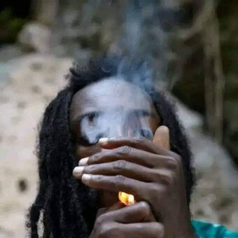 HonourRebel Ian Pacino