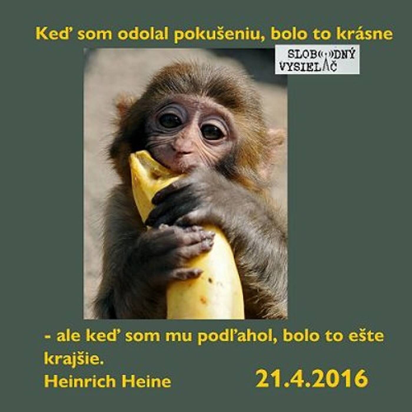 Opony 125 - 2016-04-21 Mozgový systém odmeny a závislostné správanie episode artwork