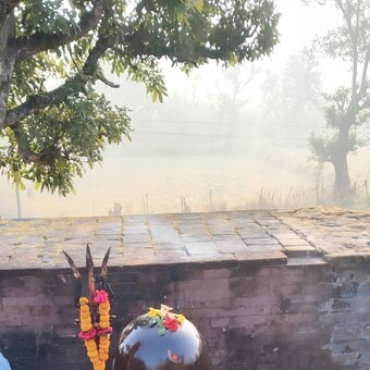 GAJENDRA