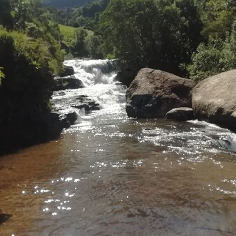 Phomolo Miza Mahlaba