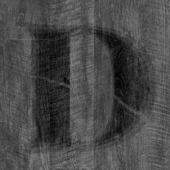 Daniel Da Silva Ramos