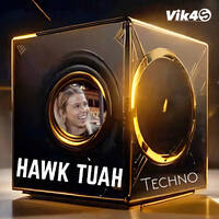 Vik4S - Hawk Tuah (Techno) | Hawk Tuah Girl Remix Techno Dance by Vik4S