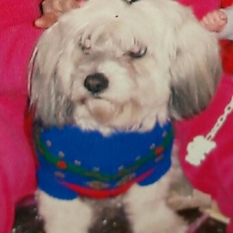 Voro Sisternes Aguilar