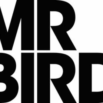 Mr Bird
