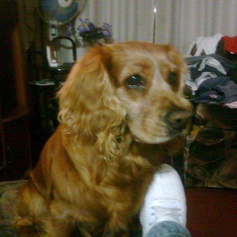 Henry Junior Pimentel Sandoval