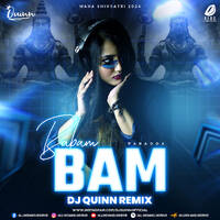 Babam Bam (Tech Remix) - DJ Quinn by All Indian DJs Drive