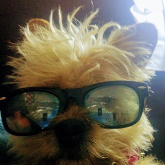 Alanez Moreira Alberto Raul