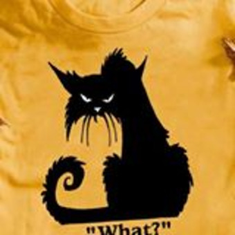 Michelle im Gespr&auml;ch - Radio X