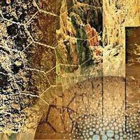 Alg0rh1tm - Source.Echo Broadcast_ Episode 10 by Source.Echo