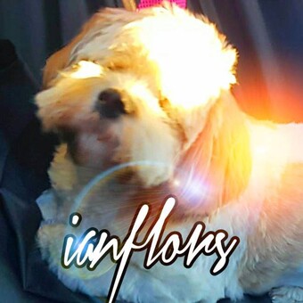 IANFLORS (keep the dream alive)