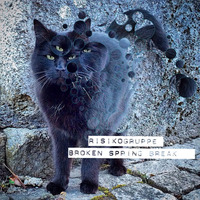 Paco / Risikogruppe - Broken Spring Break by Risikogruppe