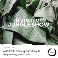 The History of Jungle Show - Episode 102 - 09.07.19 - 100% Vinyl Special by The History of Jungle Show