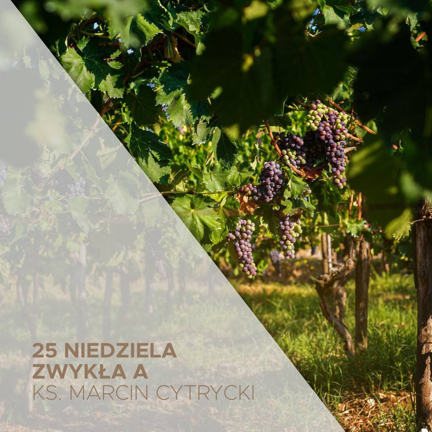 25. Niedziela Zwykła A - 24.09.2023 - Jak Ty! - ks. Marcin Cytrycki episode artwork
