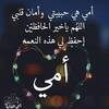 Noura Abo ElNour