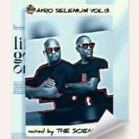 The Scientists DJ's- Afro Selenium Vol 13 by The Scientists Dj's