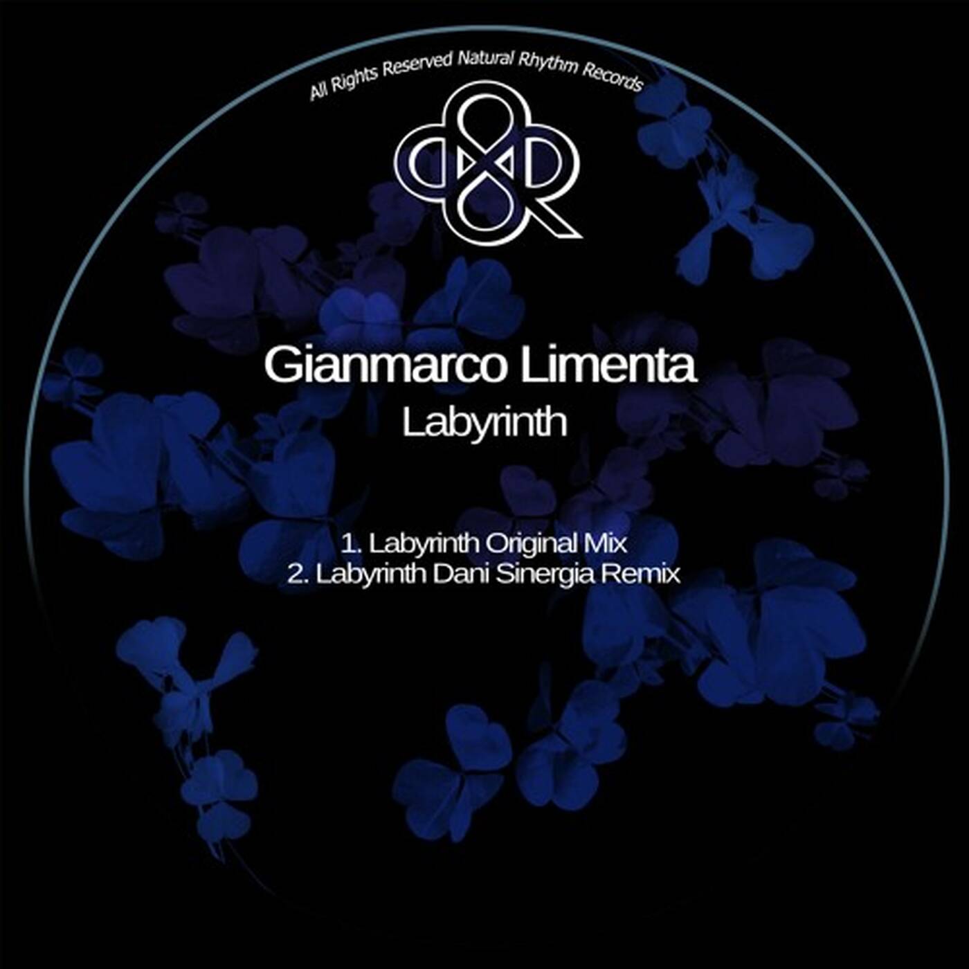 Gianmarco Limenta - Labyrinth (Original Mix) episode artwork