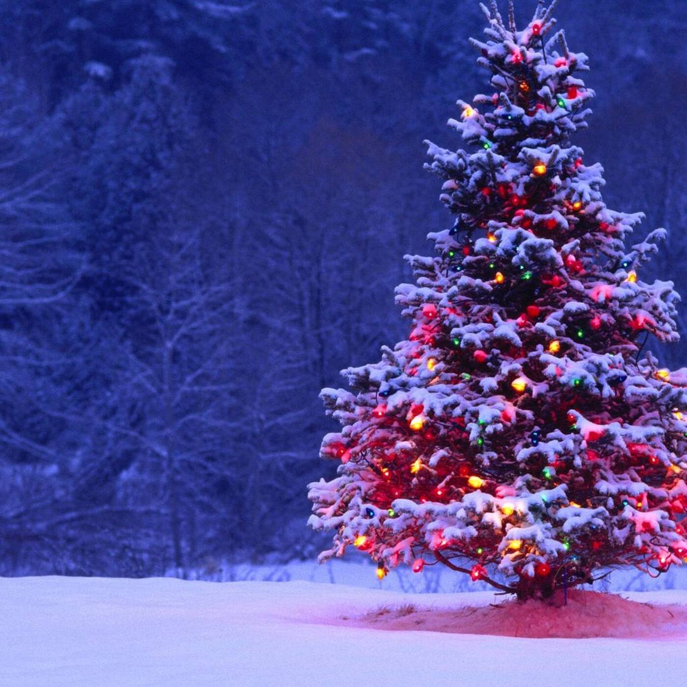 Sakrivo - Trance Stars 018 (Christmas 2014 Edition) episode artwork