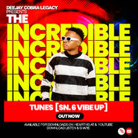 The Incredible Tunes [SN.6 VIBE UP] Mr. LEGACY by Deejay Cobra Legacy