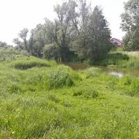 Pure Love by Simple Illusion