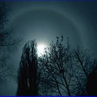 Grenzpunkt Null - Die Zelluloidleichen aus Marrakesh by Grenzpunkt Null Sound