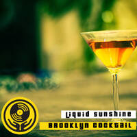 Show #47 - Brooklyn Mojito - Liquid Sunshine @ The Face Radio - 02-03-21 by Liquid Sunshine