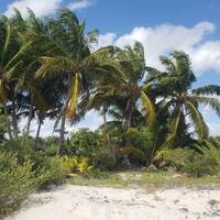 Under the Sun 5 AFROHOUSE by HIPNOISE NRV BIG BANG DJ'S