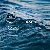 The Toniq Wave Vol. 3. by Soultoniq